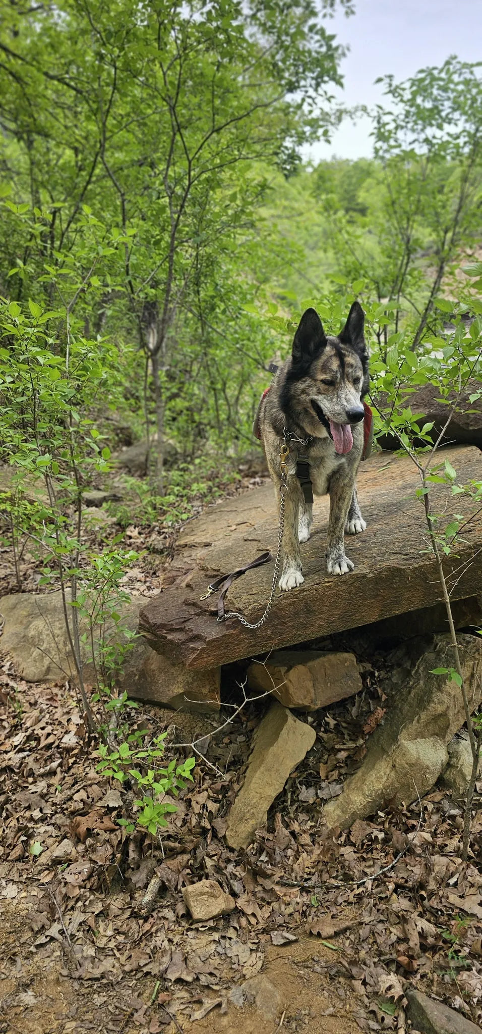 Best or Top Web & Mobile Design Agencies and Companies in Bixby, Oklahoma