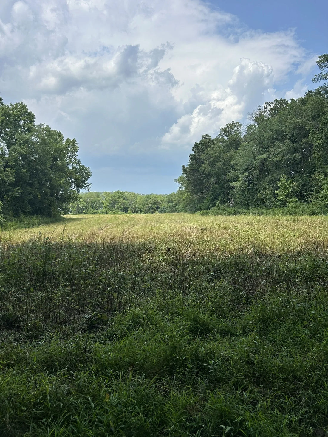 Best or Top Social Media Management Agencies and Companies in Trenton, New Jersey