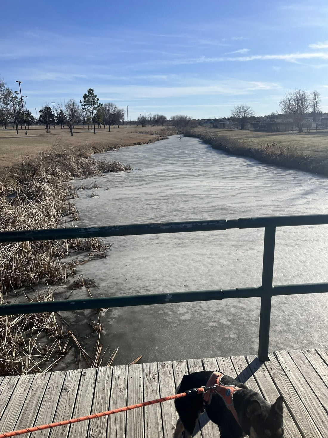 Best or Top Business Card Design Agencies and Companies in Mustang, Oklahoma