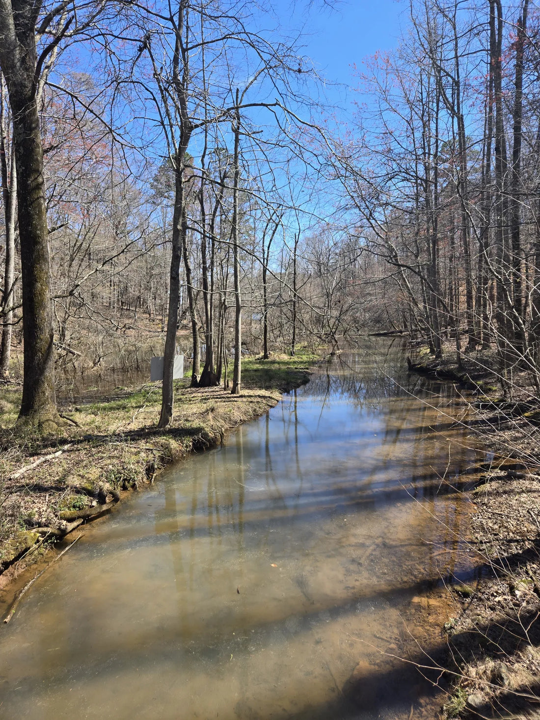 Top Athlete Management Agencies and Companies in Georgia