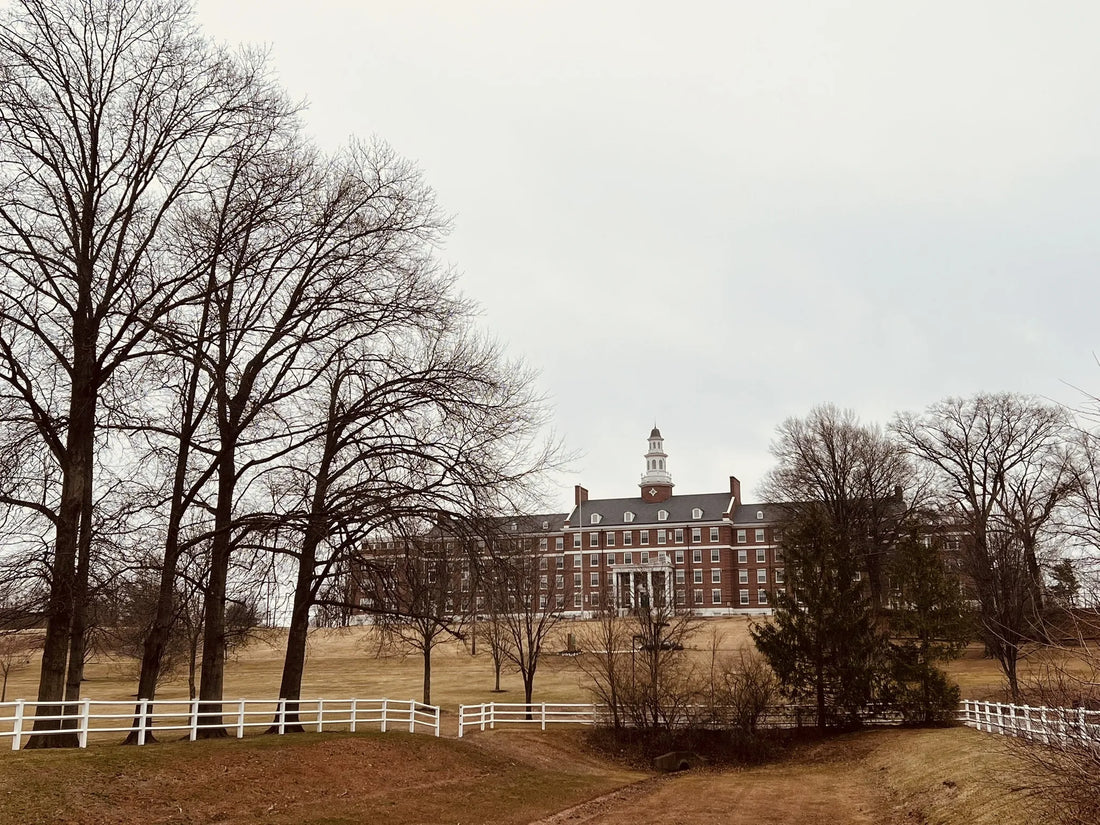 Best or Top Social Media Management Agencies and Companies in Edison, New Jersey