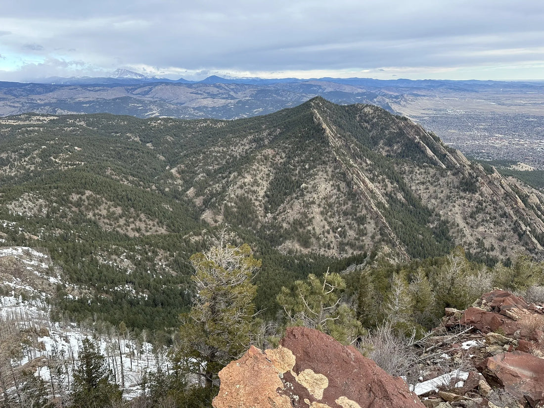 Top Talent Management Agencies and Companies in Colorado