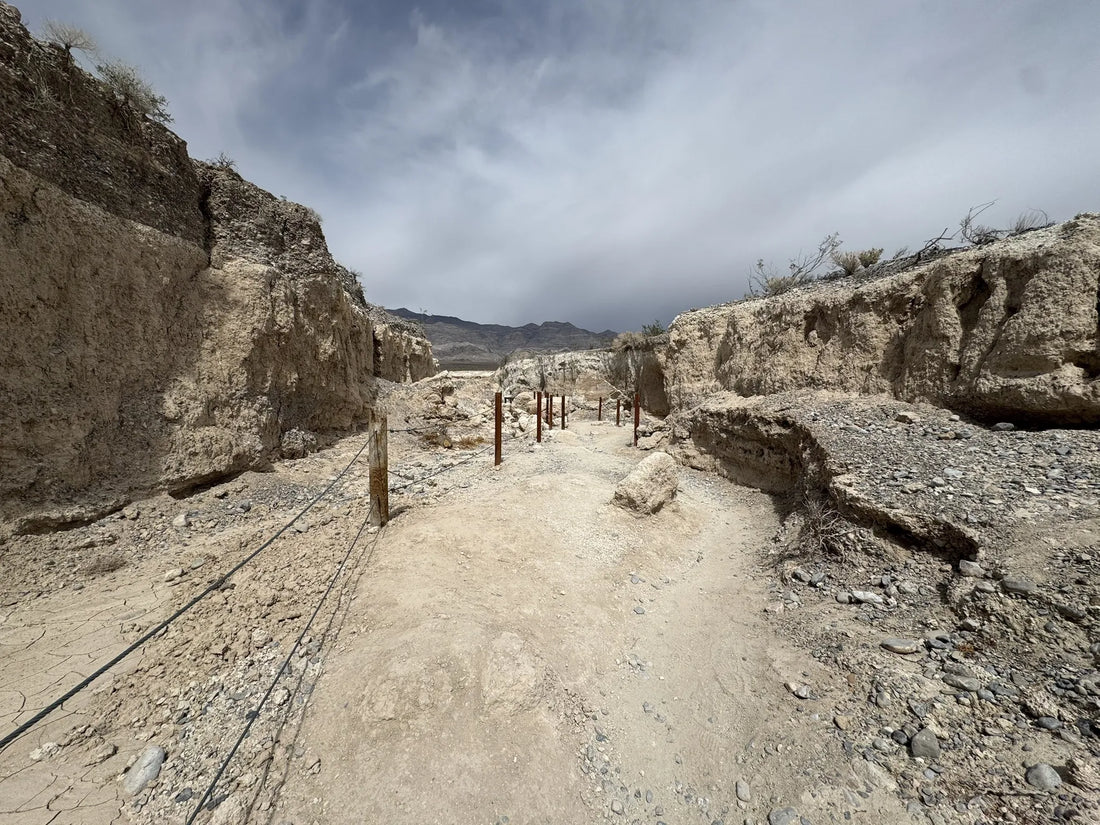 Best or Top Website Design Agencies and Companies in North Las Vegas, Nevada