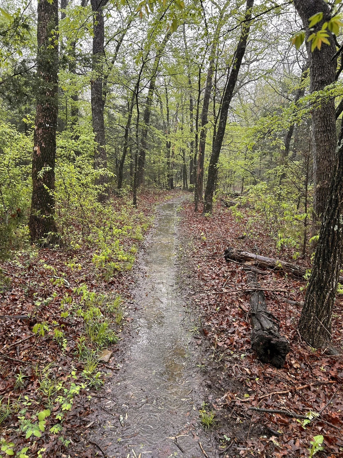 Best or Top Presentation Design Agencies and Companies in Ardmore, Oklahoma