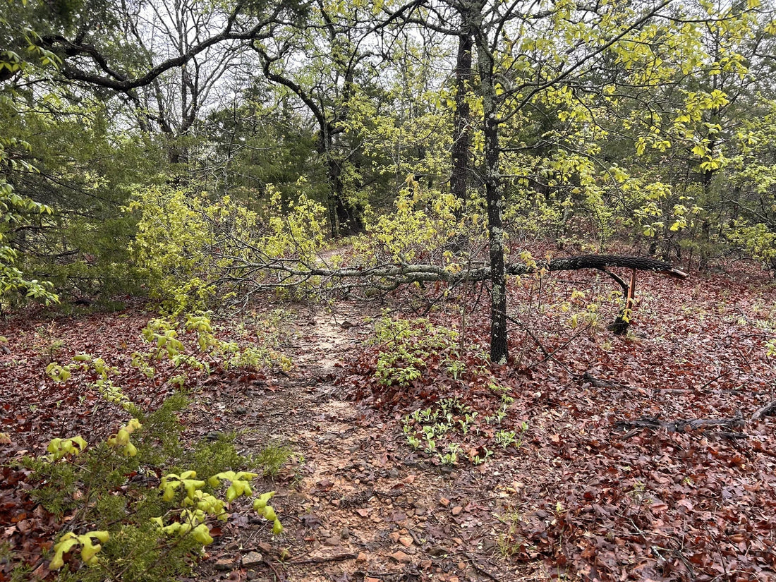 Best or Top Photo Editing Agencies and Companies in Ardmore, Okahoma