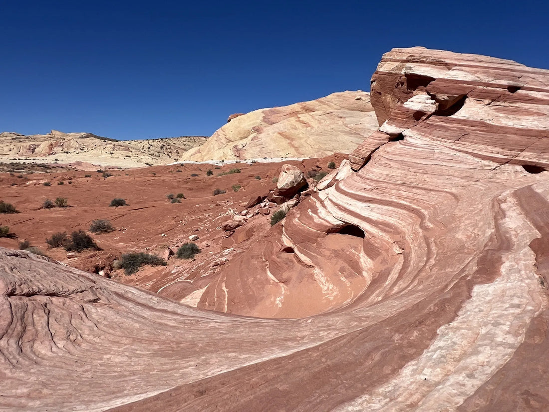 Best or Top X (Twitter) Management Agencies and Companies in North Las Vegas, Nevada