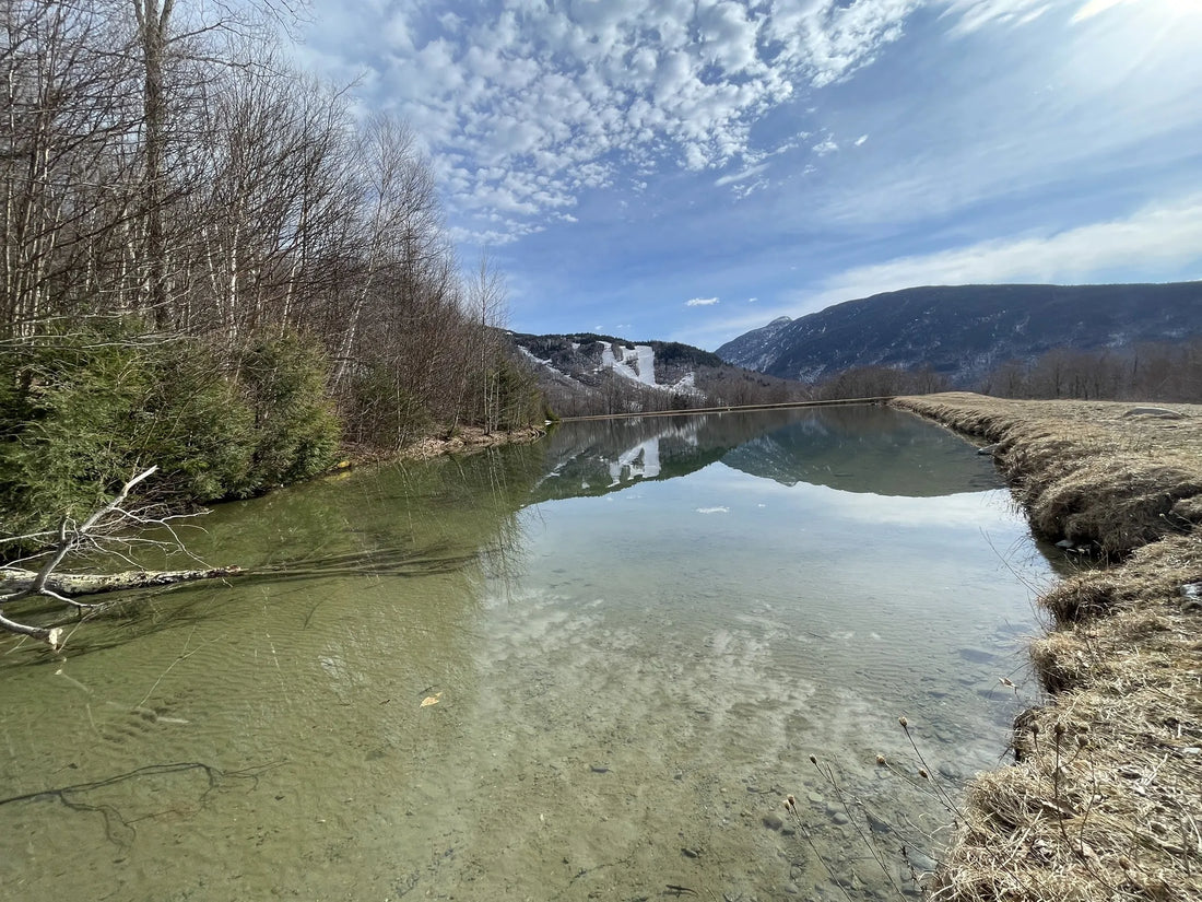 Best or Top Poster Design Agencies and Companies in Springfield, Vermont