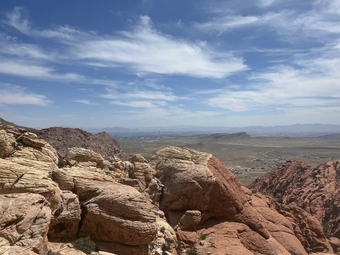 Best or Top Invitation Design Agencies and Companies in North Las Vegas, Nevada