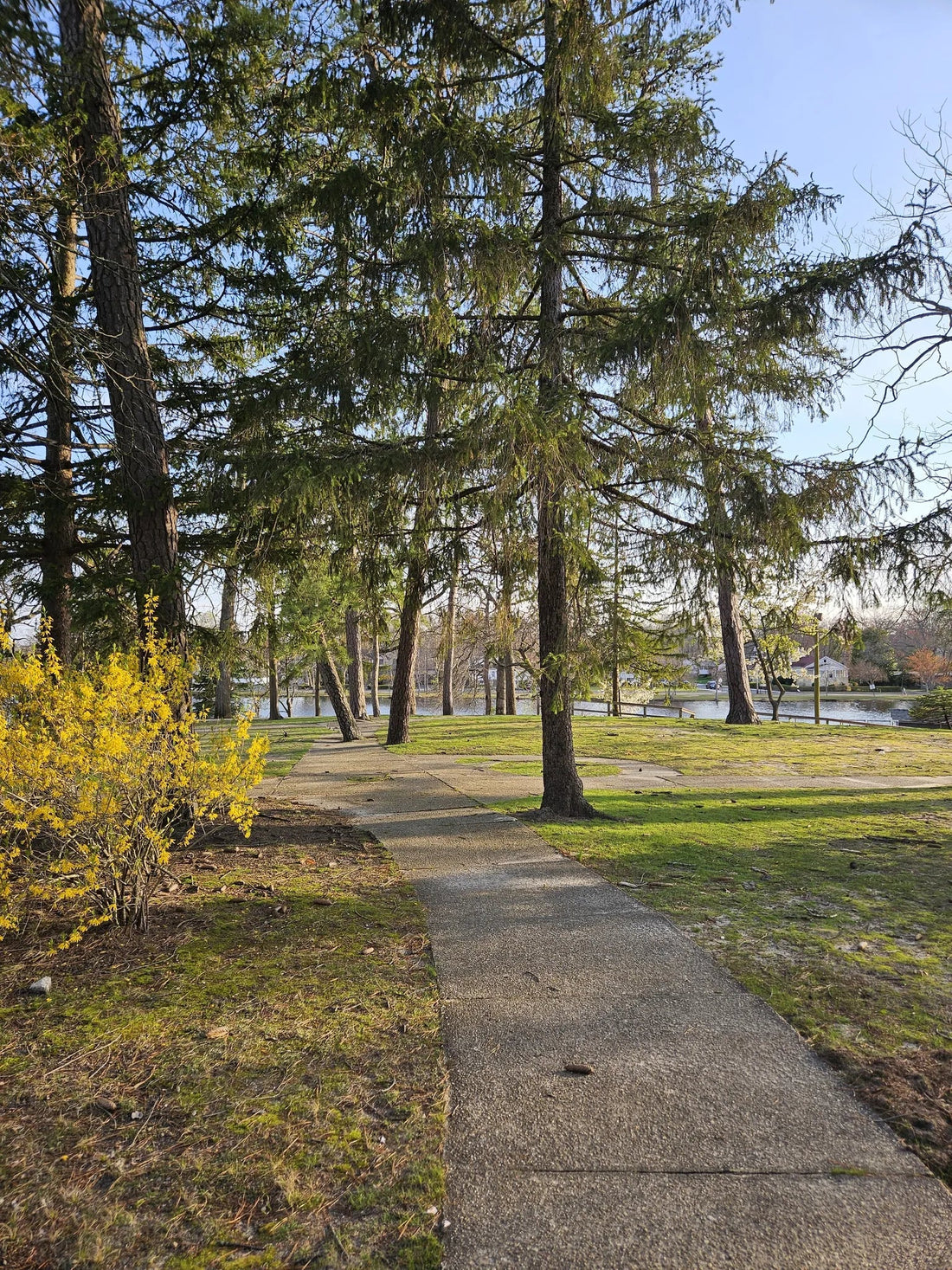 Best or Top Banner Ads Agencies and Companies in Lakewood, North Jersey