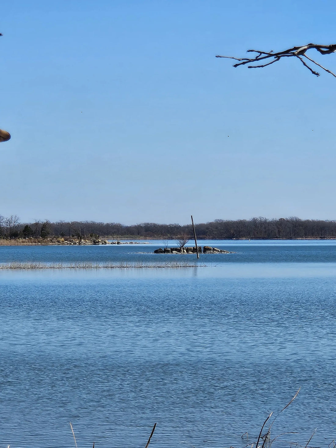 Best or Top Banner Ads Agencies and Companies in Ardmore, Oklahoma