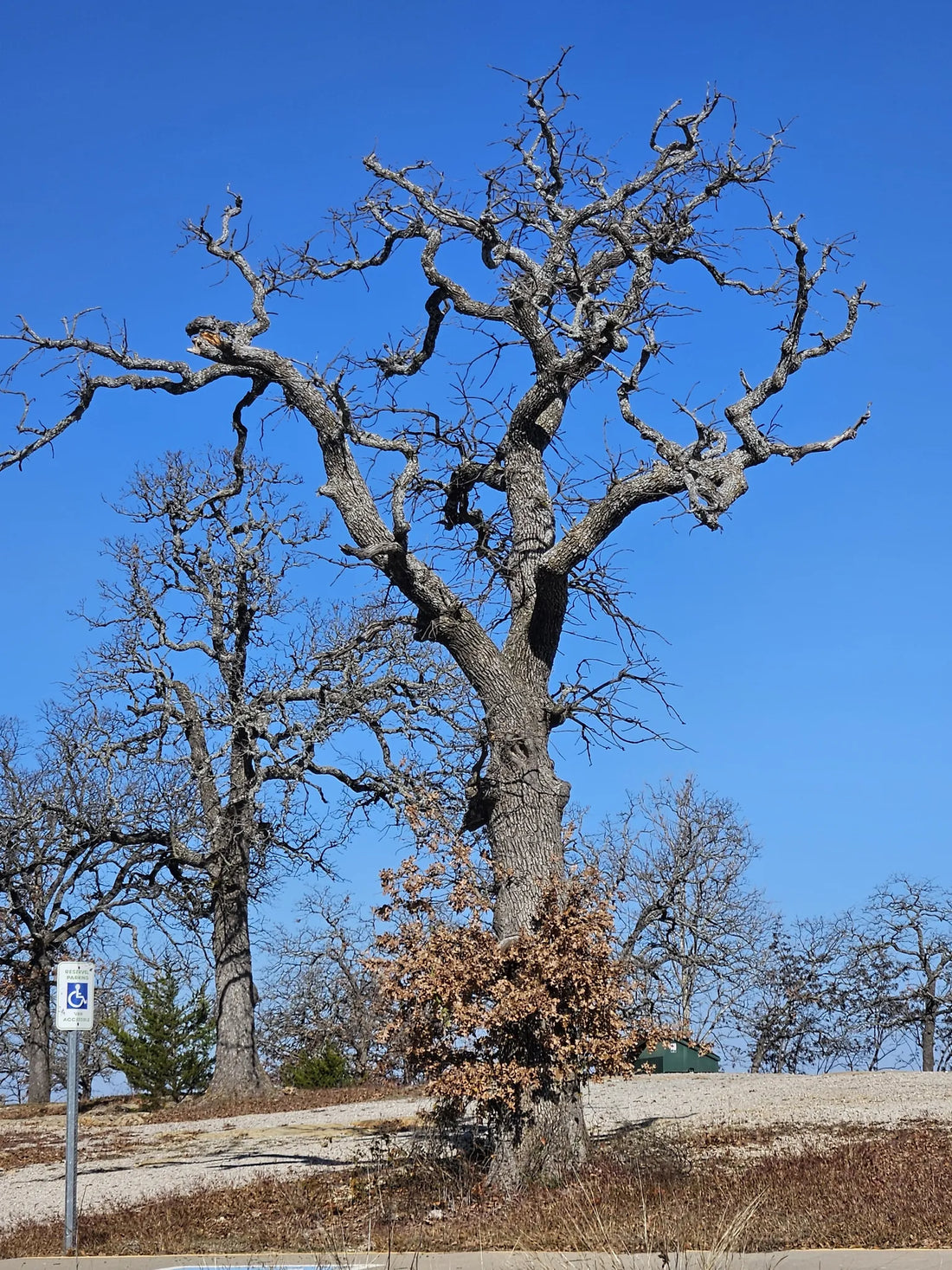 Best or Top AR Filters & Lenses Agencies and Companies in Ardmore, Oklahoma