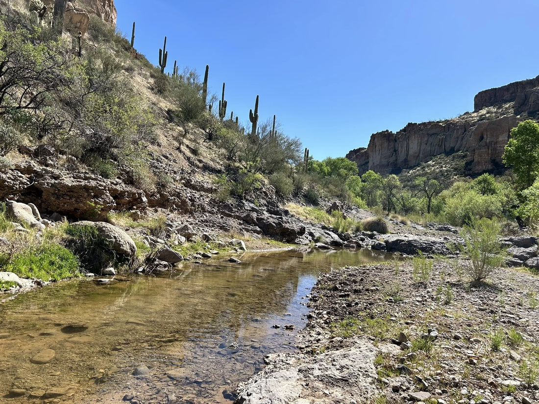 Athlete Brand Collaboration in Arizona
