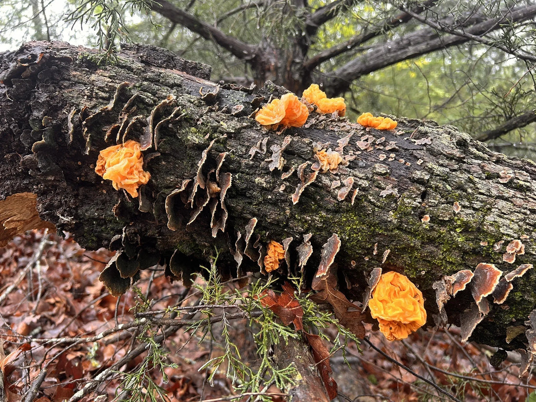 Best or Top Copywriting Agencies and Companies in Ardmore, Oklahoma