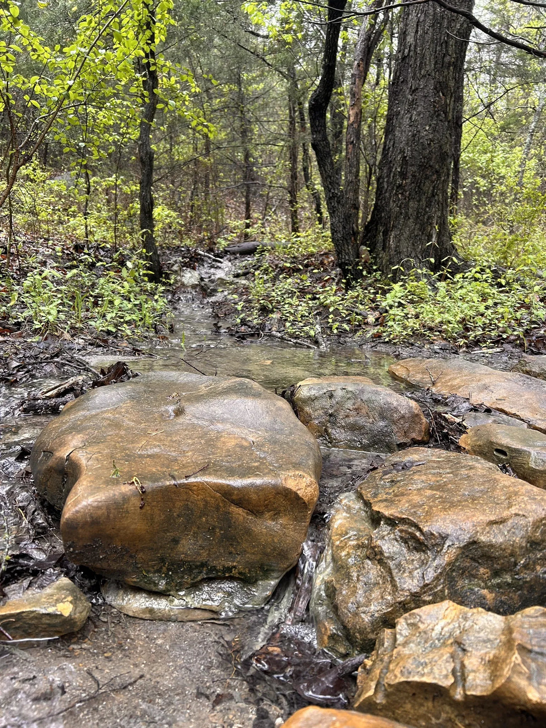 Best or Top Direct Mail Design Agencies and Companies in Ardmore, Oklahoma