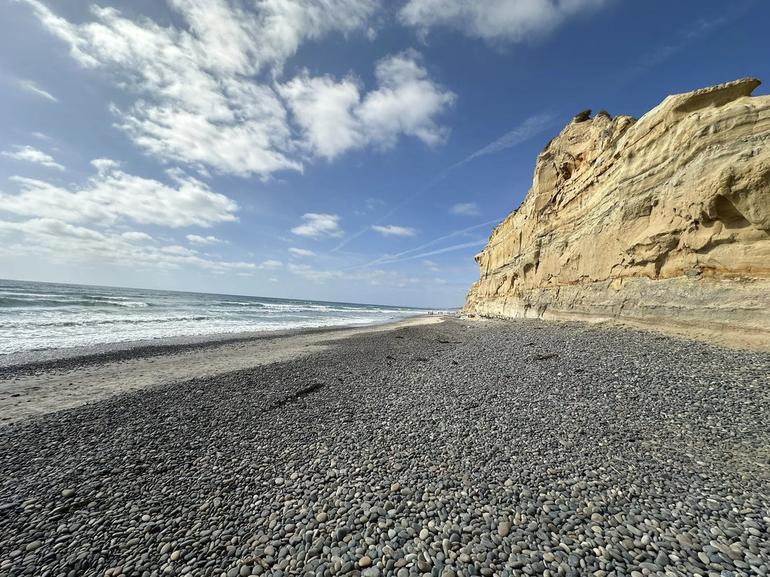 Top Athlete Brand Collaboration Agencies and Companies in California