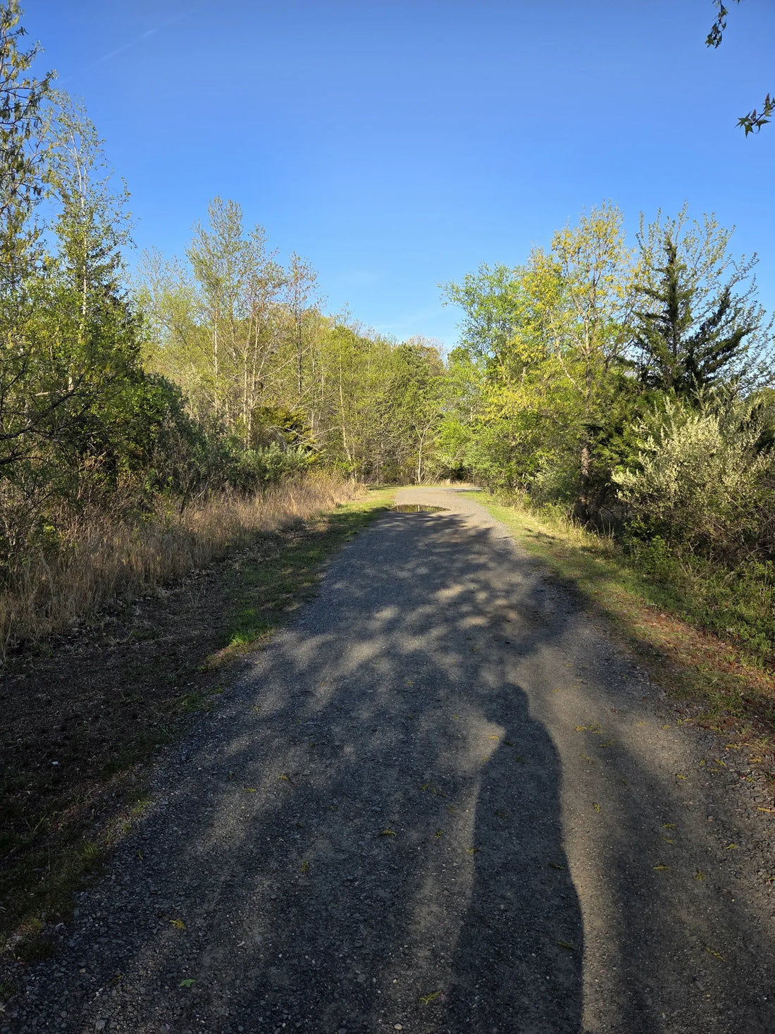 Best or Top Direct Mail Design Agencies and Companies in Lakewood, New Jersey