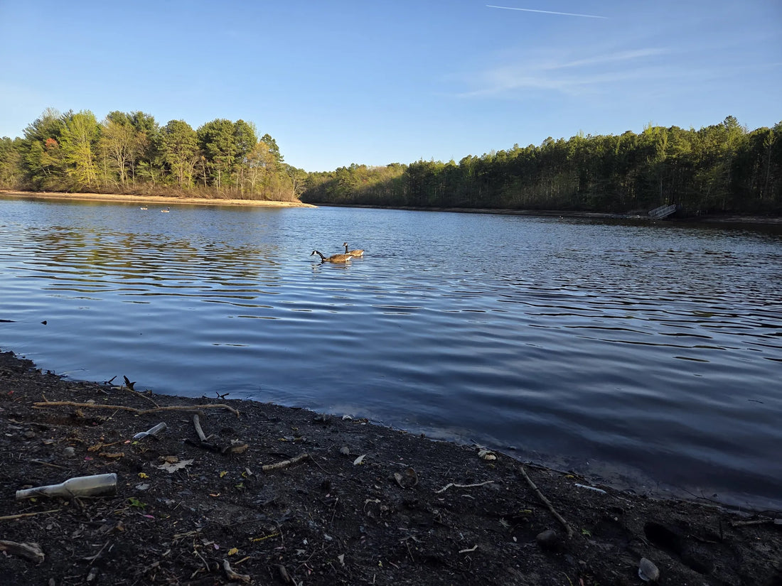 Best or Top Mural Design Agencies and Companies in Lakewood, New Jersey