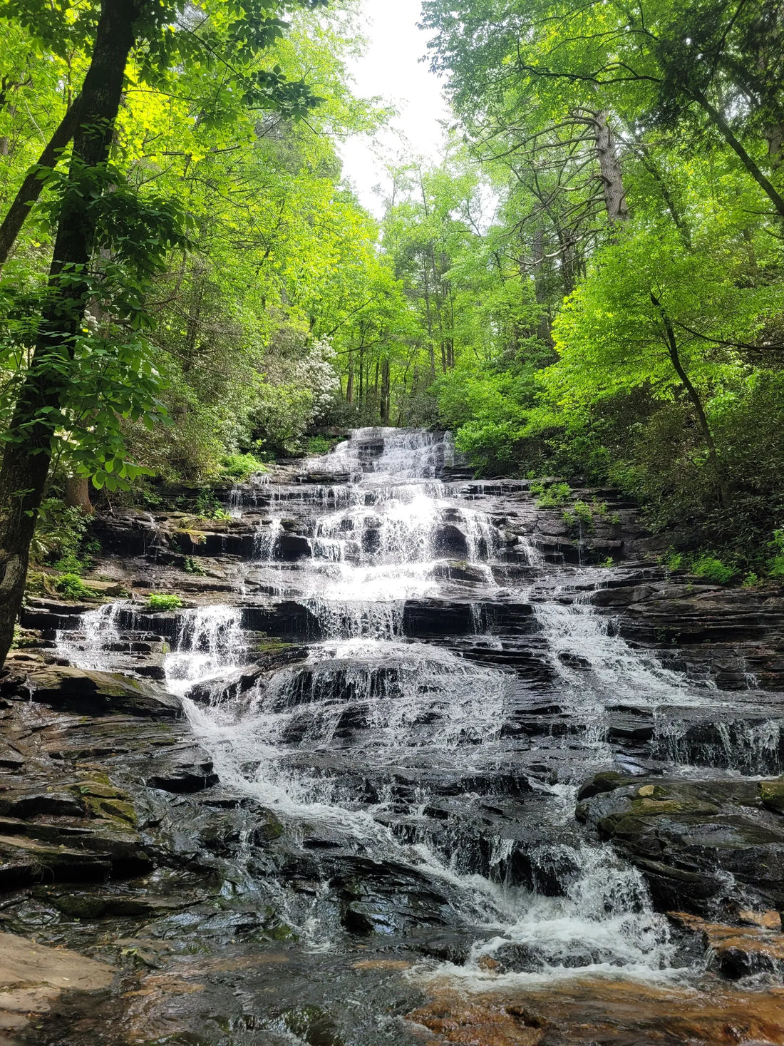 Top Influencer Campaign Strategy Agencies and Companies in Georgia