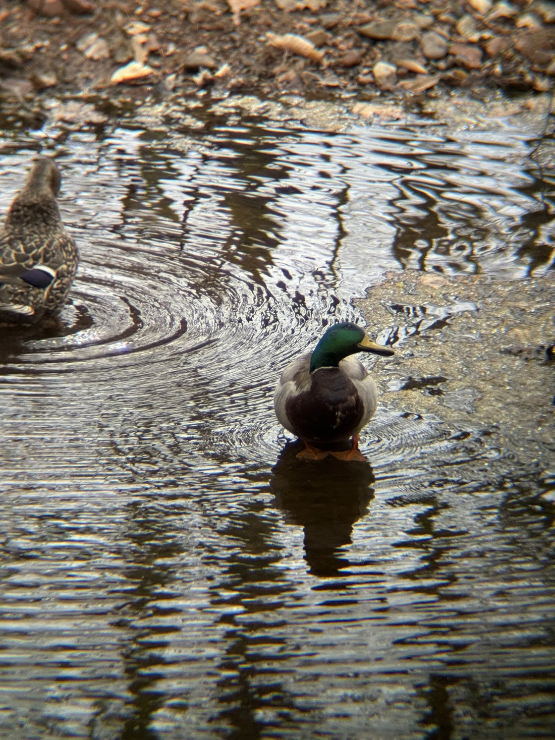 Best or Top Animation and Motion Graphics and Companies in Edison, New Jersey