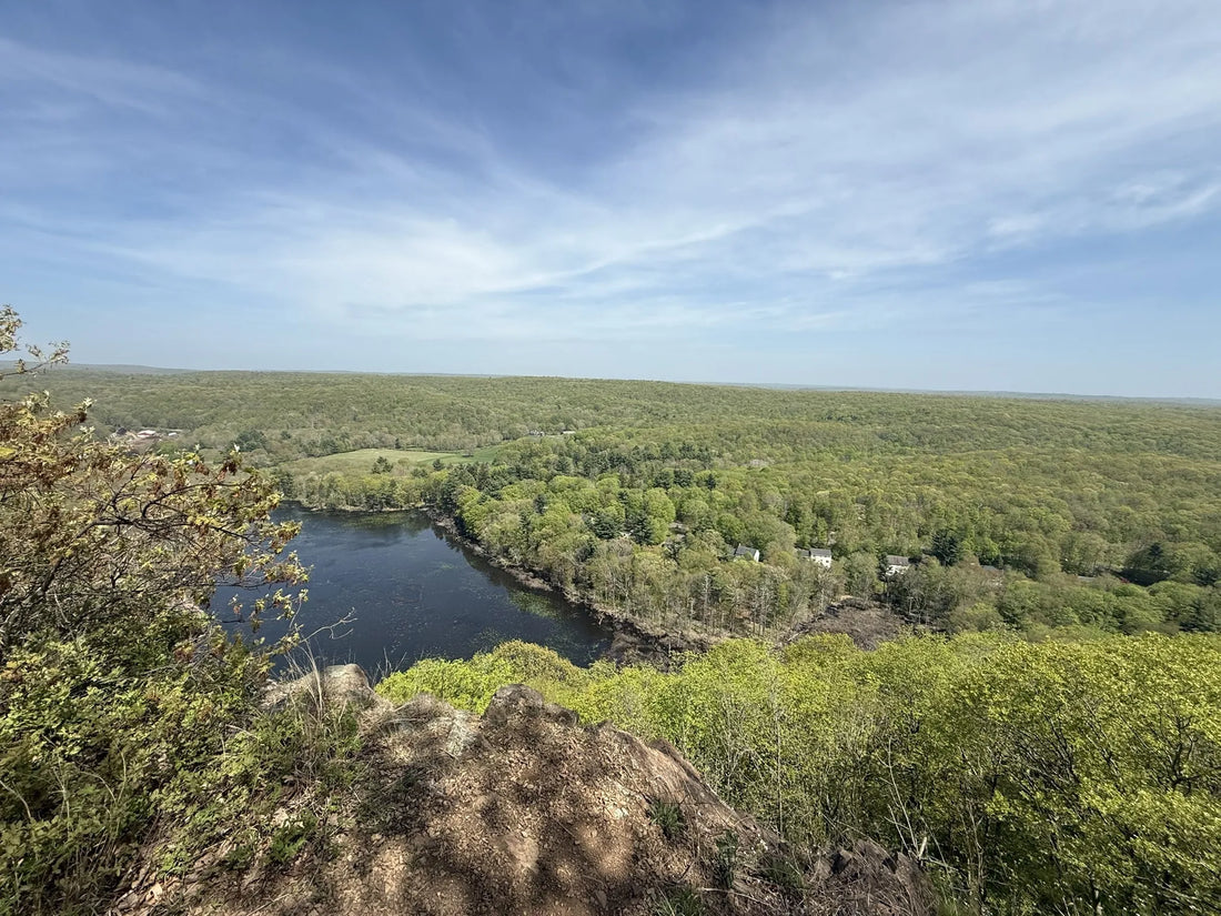 Top Photo Editing Subscription Agencies and Companies in Connecticut