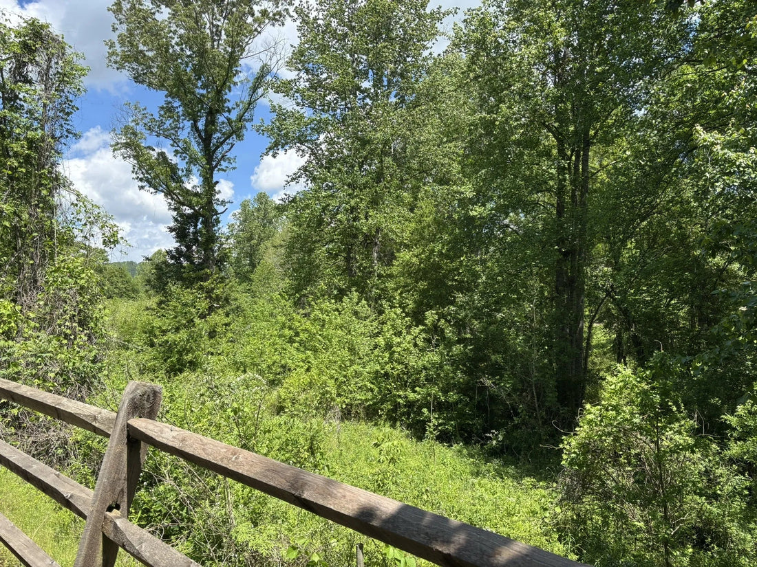 Best or Top Brand Identity Packages Agencies and Companies in Aiken, South Carolina