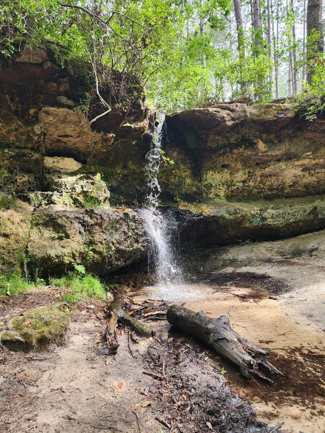 Best or Top Twitch Management Agencies and Companies in Fort Mill, South Carolina