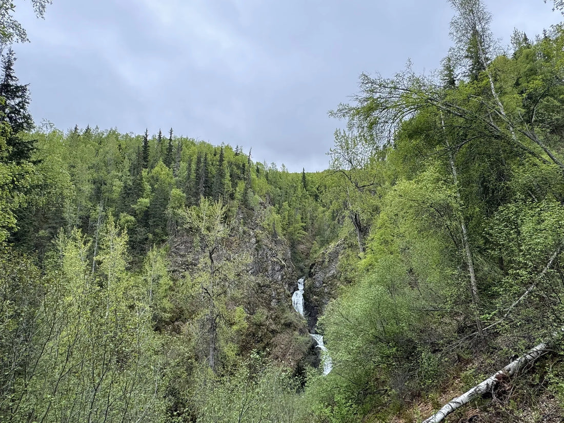 Top Athlete Brand Partnership Agencies and Companies in Alaska