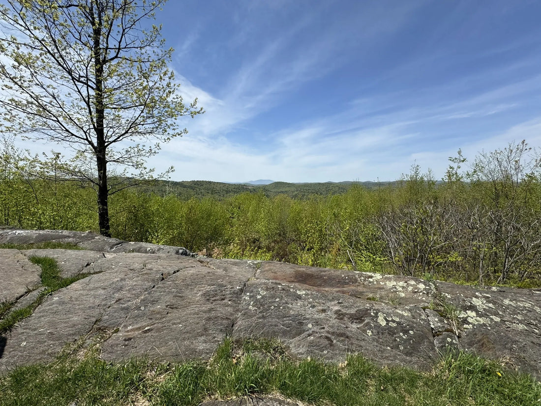 Best or Top Poster Design Agencies and Companies in St. Albans town, Vermont