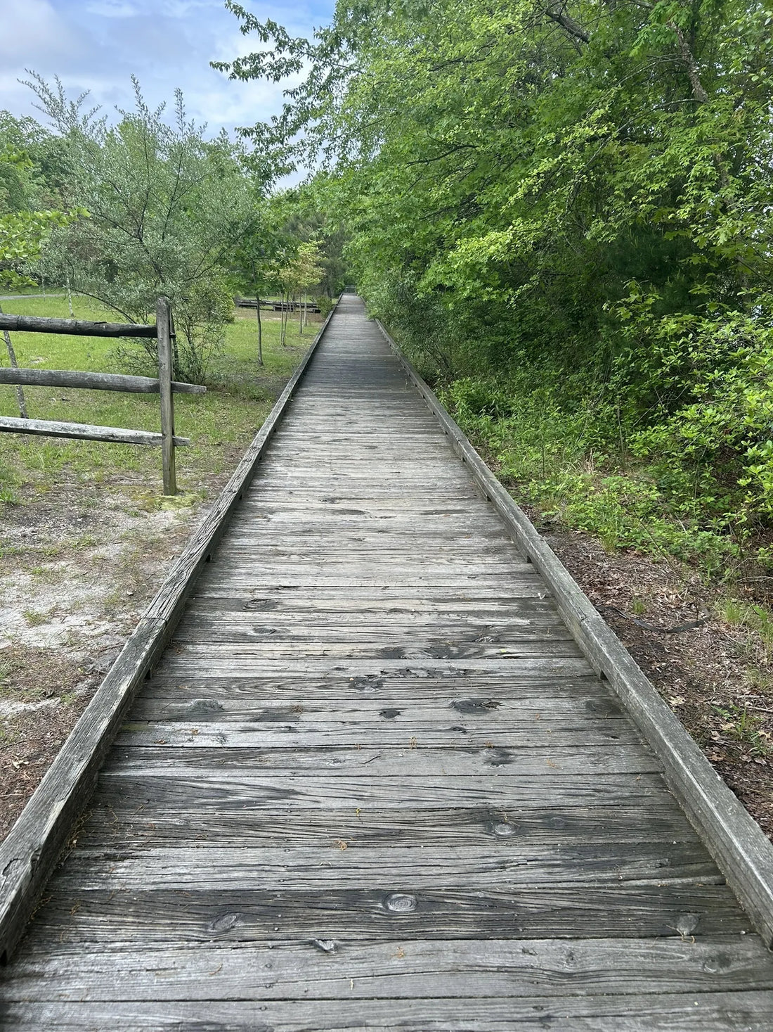 Best or Top Social Media Design Agencies and Companies in Lakewood, New Jersey