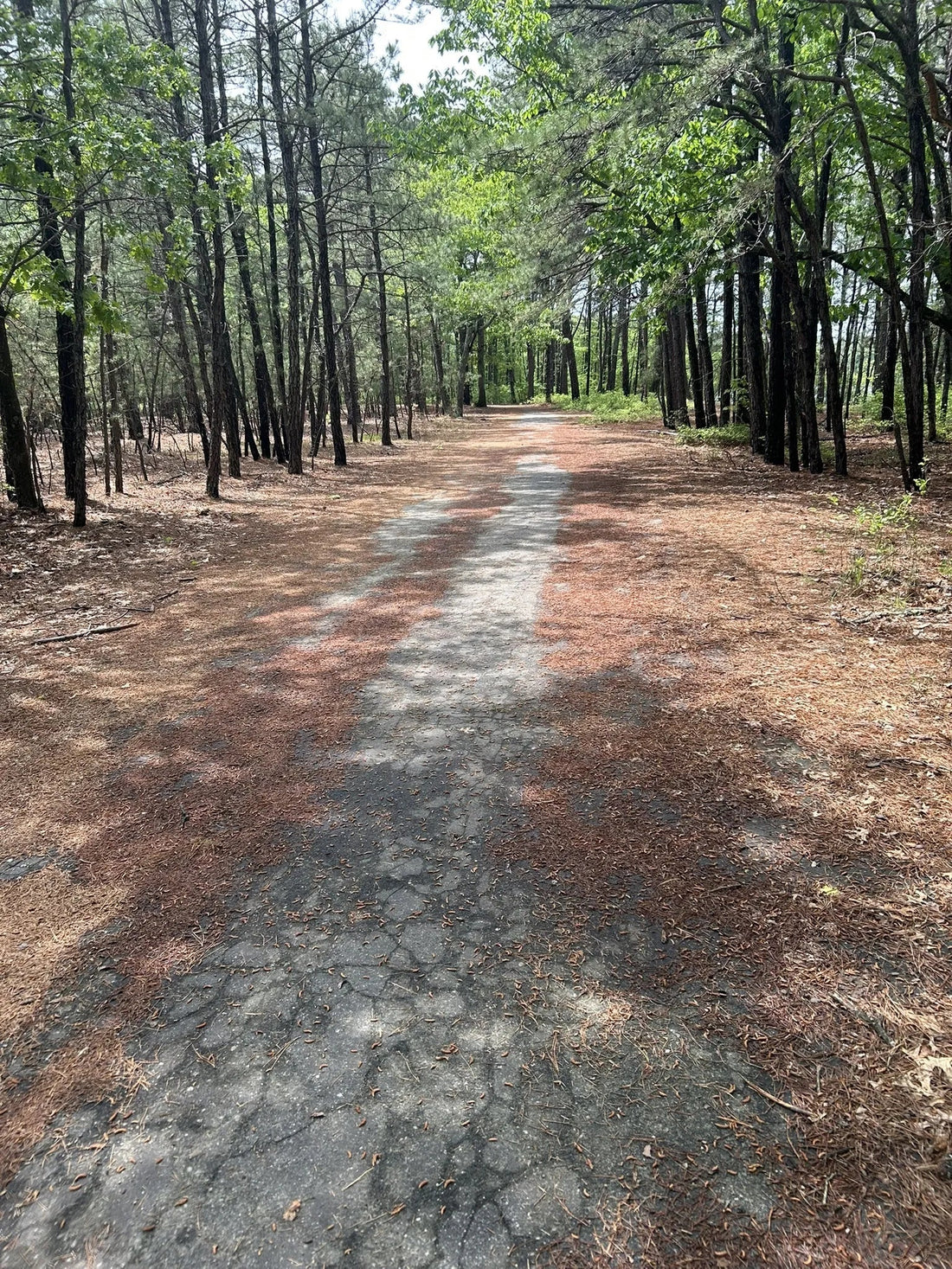 Best or Top Website Design Agencies and Companies in Lakewood, New Jersey