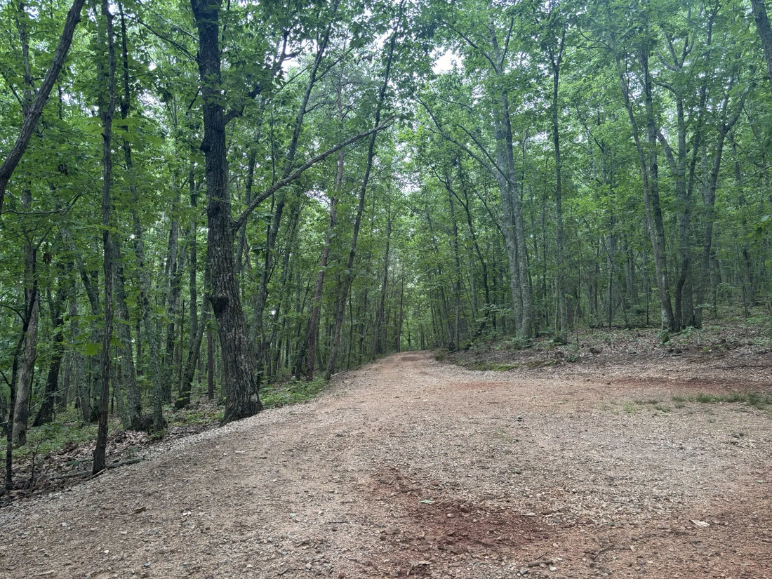 Best or Top Cartoons & Comics Agencies and Companies in Anderson, South Carolina