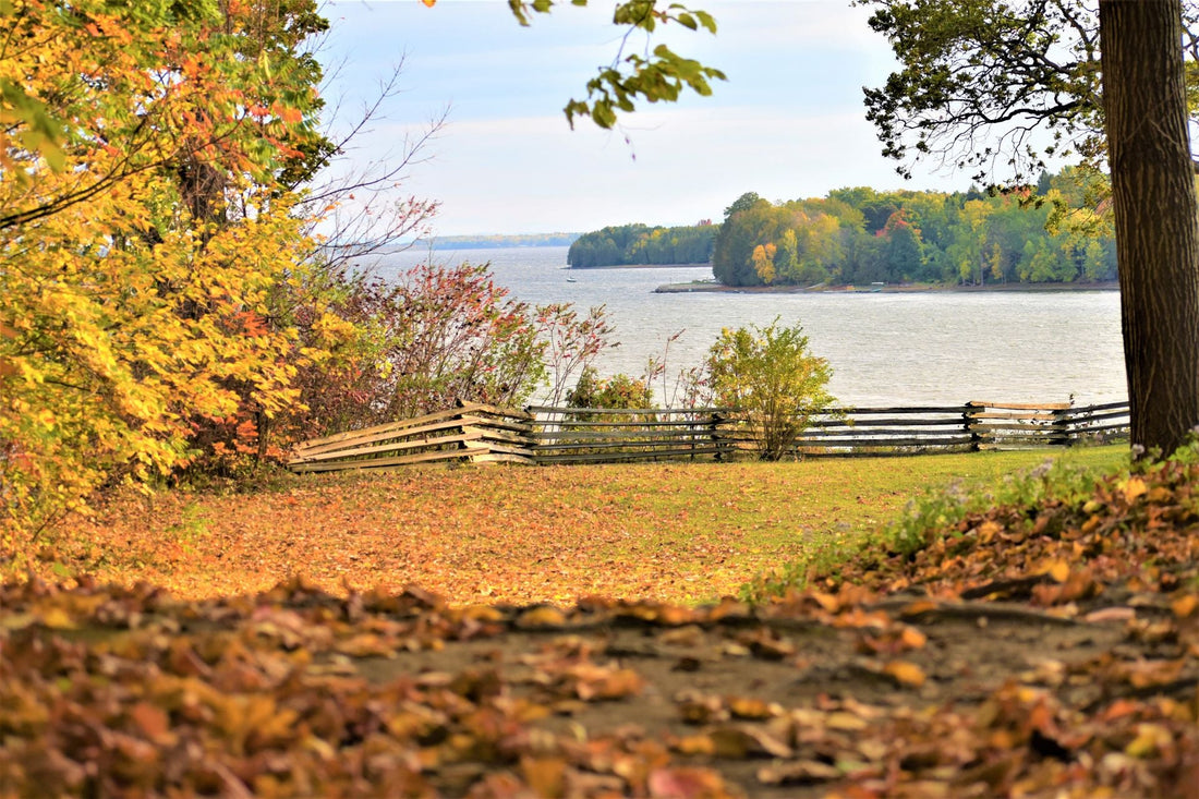 Top or Best Social Media Design Agencies and Companies in Essex Junction, Vermont