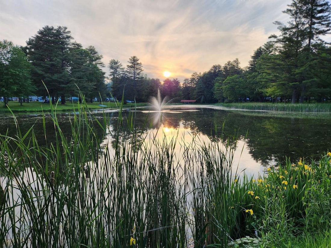 Top or Best Instagram Management Agencies and Companies in Marysville, Washington