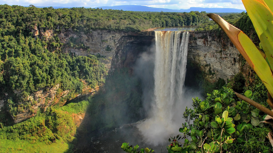 Top or Best Athlete Management Agencies and Companies in Guyana