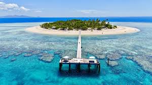 Top Drawing and Illustration Agencies in Fiji