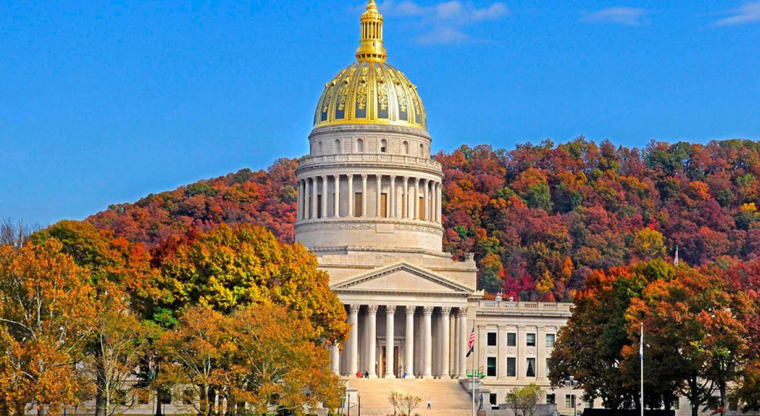 Top or Best Web and Mobile Design Agencies and Companies in Charleston, West Virginia