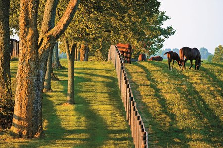 Top and Best Postcard Design Agencies and Companies in Auburn, Maine