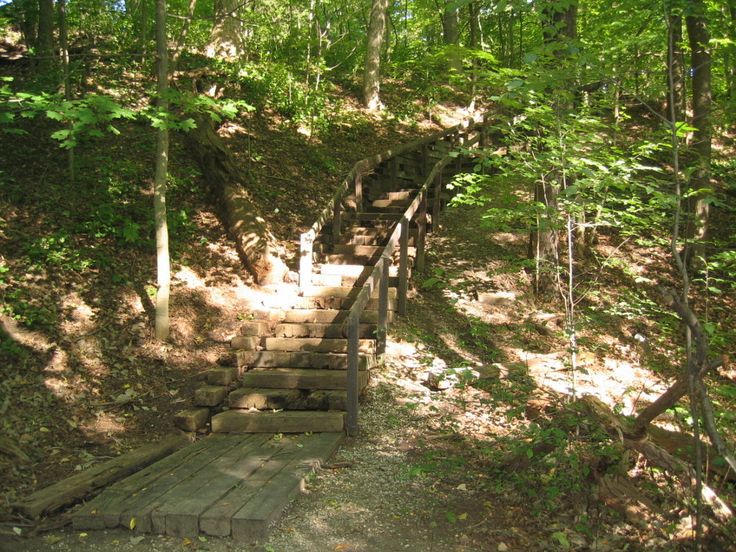 Top or Best Virtual Background Design Agencies and Companies in Waukegan, Illinois