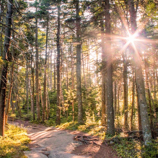 Top or Best Snapchat Management Agencies and Companies in Hartford, Vermont