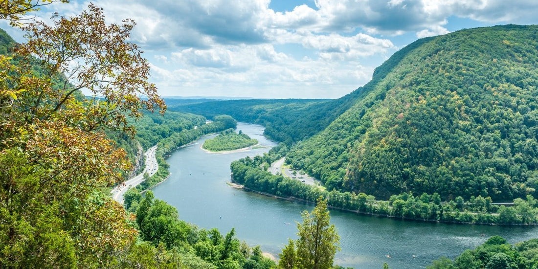 Top or Best Photo Editing Agencies and Companies in Newark, Delaware