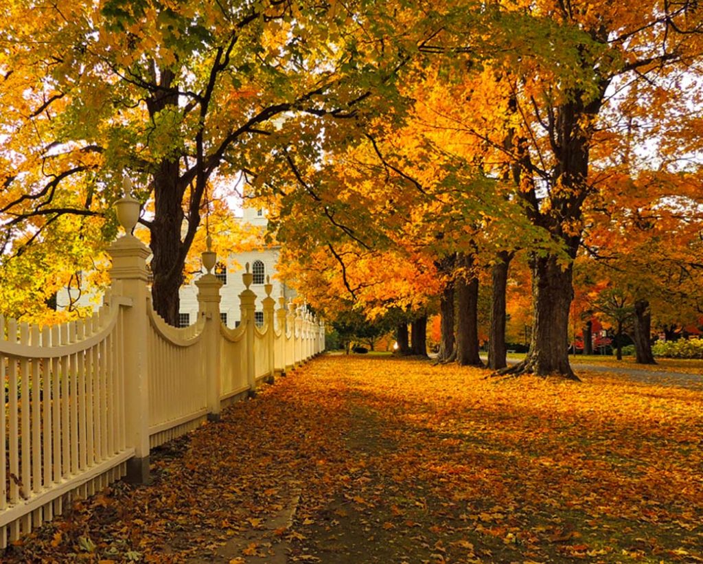 Top or Best Poster Design Agencies and Companies in Bennington, Vermont