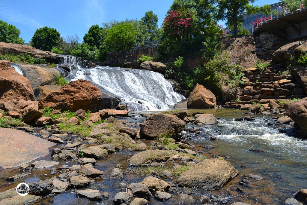 Top or Best Logo Design Agencies and Companies in Greenville, South Carolina