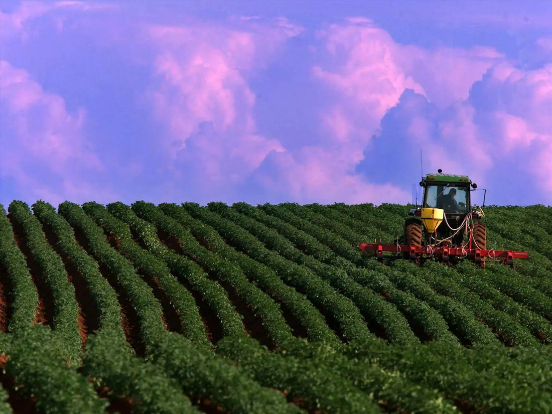 Top or Best Social Media Management Agencies and Companies in Johnston, Iowa