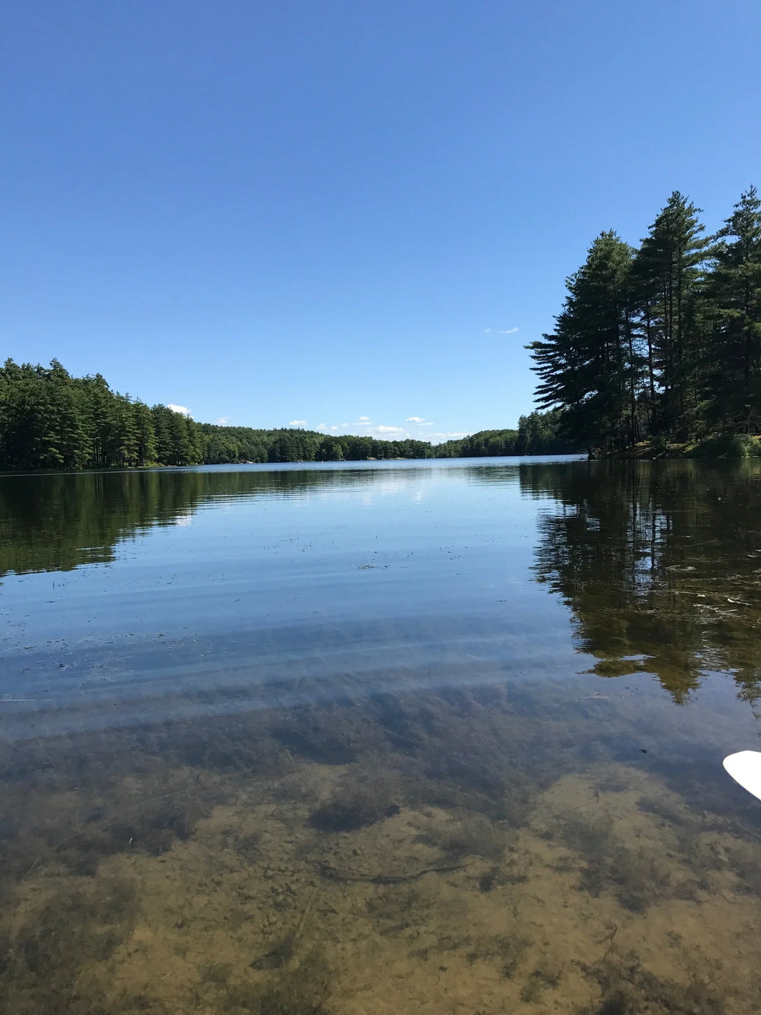 Top or Best NFT Art Agencies and Companies in Essex, Vermont