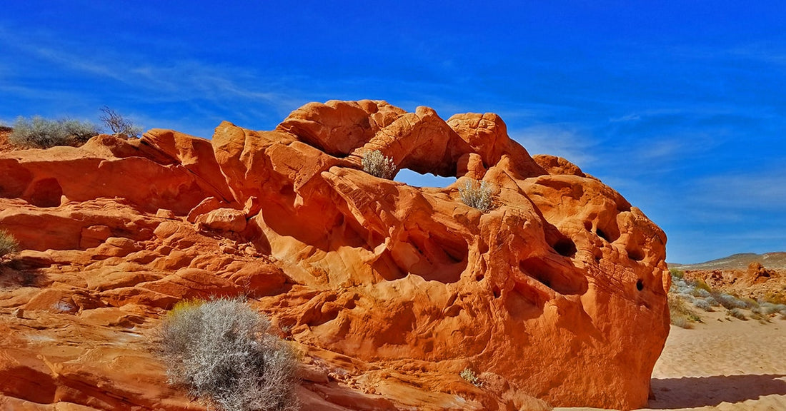 Best or Top X (Twitter) Management Agencies and Companies in Las Vegas, Nevada