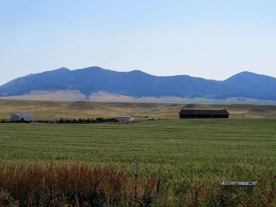 Top or Best TikTok Management Agencies and Companies in Lewistown, Montana