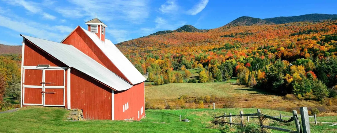 Top or Best Web & Mobile Design Agencies and Companies in Lebanon, New Hampshire