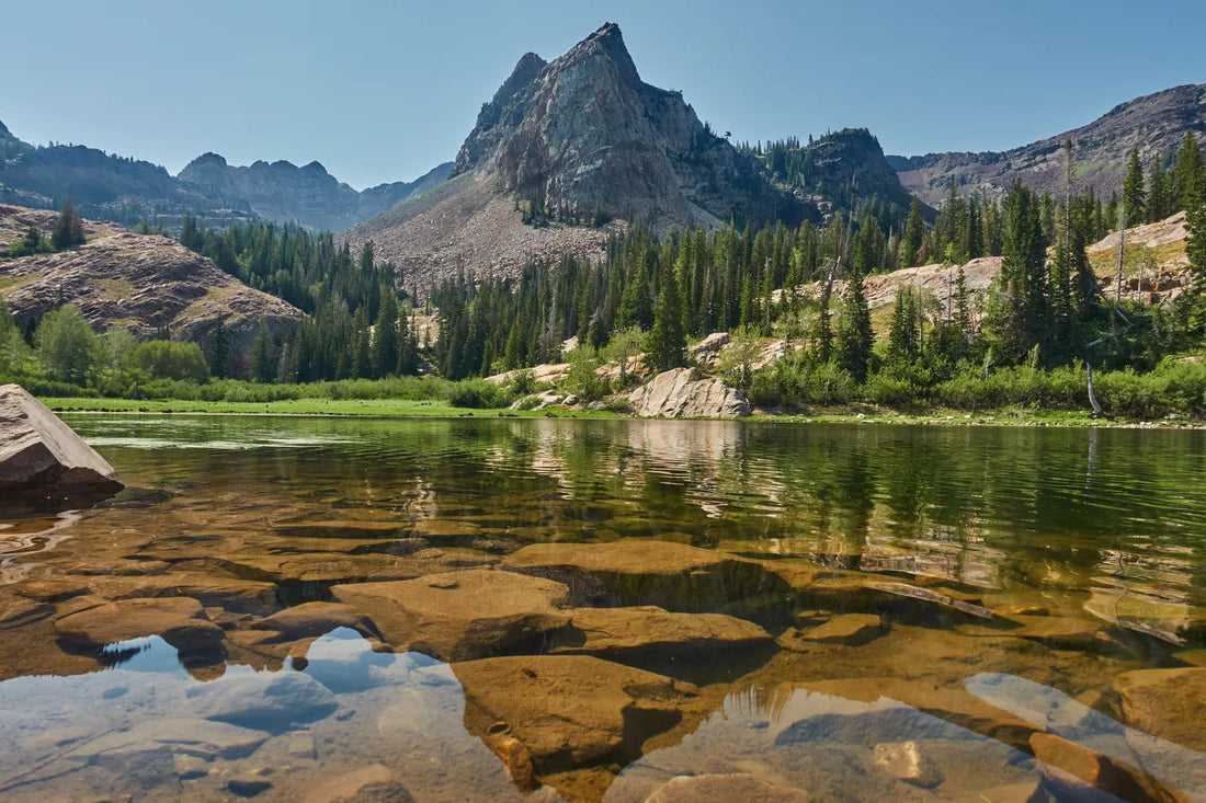 Top and Best Menu Design Agencies and Companies in Salt Lake City, Utah