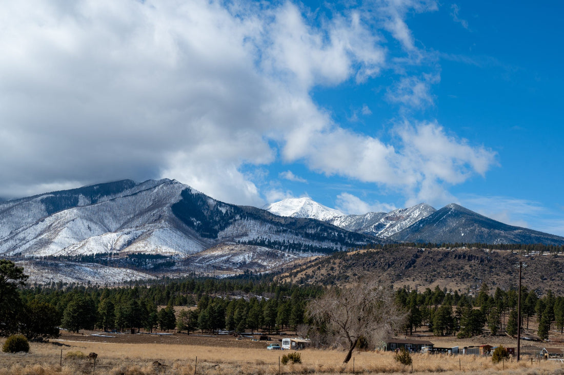Top or Best Social Media Design Agencies and Companies in Flagstaff, Arizona