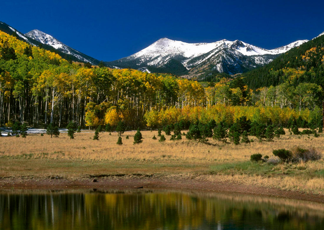 Top or Best Email Campaign Design Agencies and Companies in Flagstaff, Arizona